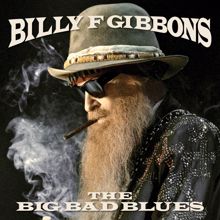Billy F Gibbons: Standing Around Crying