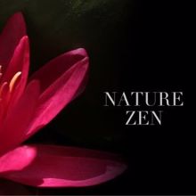 Nature Sounds: Nature Zen