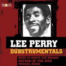 Lee Perry: Dubstrumentals