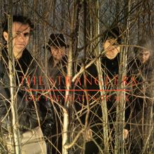 The Stranglers: Off the Beaten Track