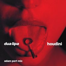 Dua Lipa: Houdini (Adam Port Mix)
