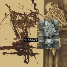 Tiamat: The Southernmost Voyage (remastered)