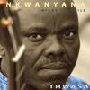 Mahoyana Nkwanyana: Thwasa