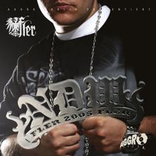 Fler: NDW 2005 (Radio Version)