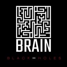 Brain: Black Holes