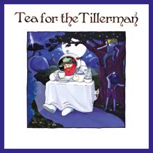 Yusuf / Cat Stevens: Tea For The Tillerman