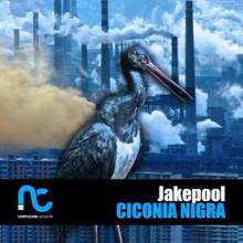Jakepool: Ciconia Nigra