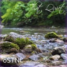 oSTNL, Serenity Noises: That Quiet