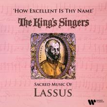 The King's Singers: Lassus: Sacrae lectiones novem ex propheta Iob: No. 8, Pelli meae consumptis carnibus