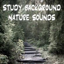 Nature Sounds: Study Background Nature Sounds