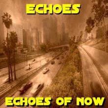 Echoes of Now: On Echo Beach