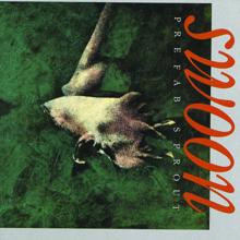 Prefab Sprout: Couldn't Bear to Be Special
