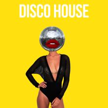 Ibiza Chill Out Classics: Disco House