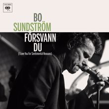 Bo Sundström: Försvann du