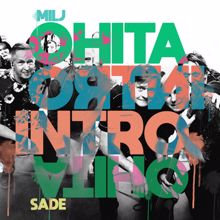 Miljoonasade: Ohita intro