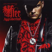 Fler: Aggroberlina (Instrumental)