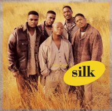 silk: Hooked on You