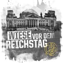 Sido: Wiese vor dem Reichstag