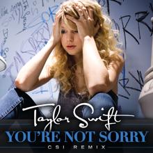 Taylor Swift: You're Not Sorry (CSI Remix)
