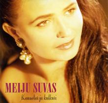 Meiju Suvas: Ihoni kaipaa sinua