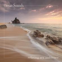 Ocean Sounds: Relaxing Sea Ambience