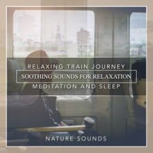 Nature Sounds: Nature Sounds: Relaxing Train Journey: Soothing Sounds for Relaxation, Meditation and Sleep