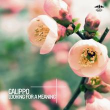 Calippo: Looking for a Meaning