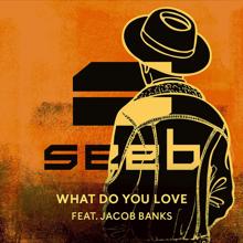Seeb, Jacob Banks: What Do You Love