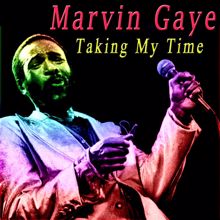 Marvin Gaye: Taking My Time