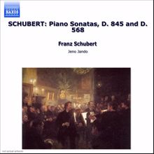 Jeno Jandó: Schubert: Piano Sonatas, D. 845 and D. 568