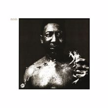 Muddy Waters: Blues And Trouble