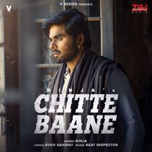 Ninja: Chitte Baane