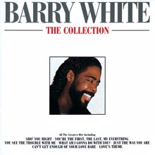 Barry White: Never, Never Gonna Give Ya Up