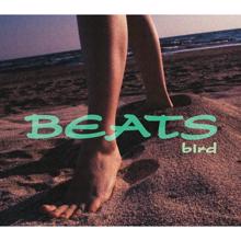 Bird: BEATS