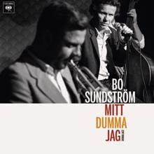 Bo Sundström: Mitt dumma jag - Svensk jazz