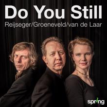 Ernst Reijseger, Larissa Groeneveld & Frank van de Laar: The Veils