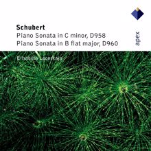 Elisabeth Leonskaja: Schubert: Piano Sonata No. 21 in B-Flat Major, D. 960: III. Scherzo. Allegro vivace con delicatezza - Trio