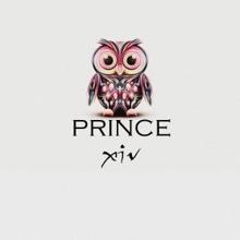 Prince: XIV