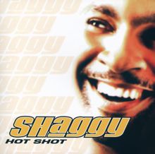 Shaggy: Hot Shot