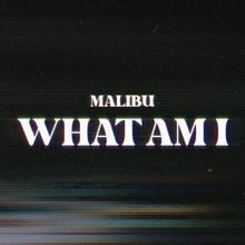 Malibu: What Am I