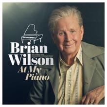 Brian Wilson: Wouldn't It Be Nice