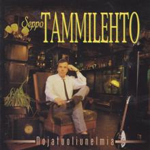 Seppo Tammilehto: Mustikkavuoren kuu