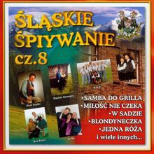 Various Artists: Slaskie Spiywanie cz.8