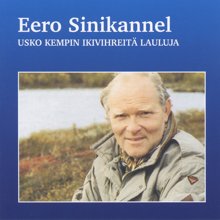 Eero Sinikannel: Revontulet kaamosyössä