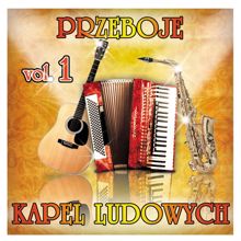 Various Artists: Przeboje kapel ludowych