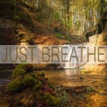 Nature Sounds: Just Breathe