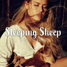 L.porsche: Sleeping Sheep