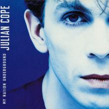 Julian Cope: My Nation Underground