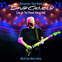 David Gilmour: Wish You Were Here (Live at the Royal Albert Hall)