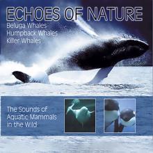 Delta Music: Echoes of Nature: Walgesänge